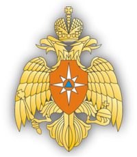 The Ministry of the Russian Federation for Civil Defence, Emergencies and Elimination of Consequences of Natural Disasters